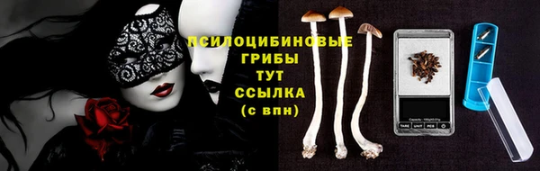 дживик Алексин