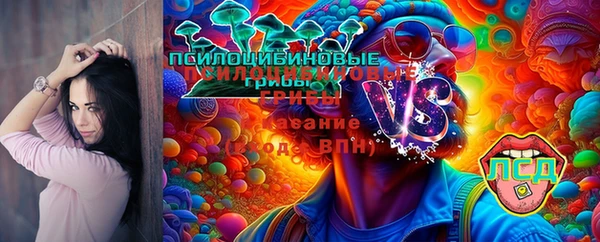 мяу мяу мука Алексеевка