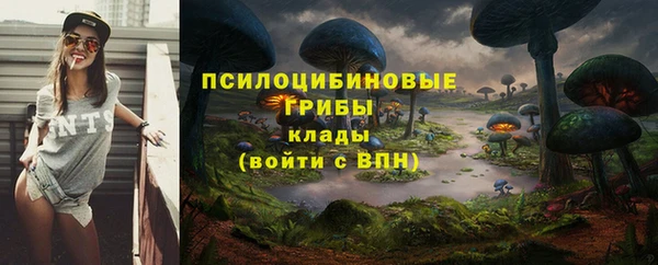 мяу мяу мука Алексеевка