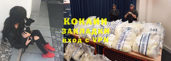 дживик Алексин