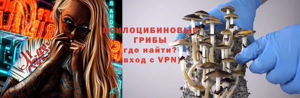 дживик Алексин