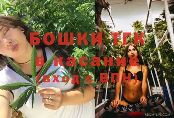 дживик Алексин