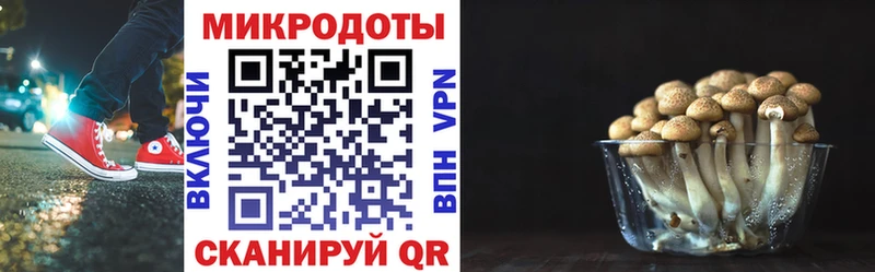 как найти наркотики  Мензелинск  Галлюциногенные грибы ЛСД 